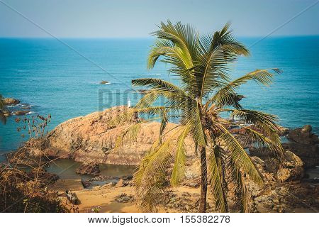 beautiful view of the rock with palm trees and ocean