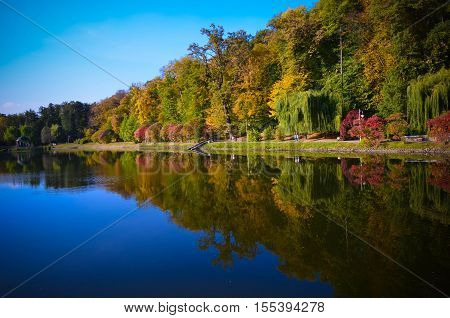 Autumn Foliage, Maple Tree Branches Against Lake And Sky. Sunny Day In Park.