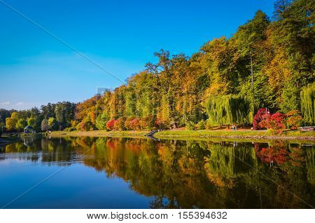 Autumn Foliage, Maple Tree Branches Against Lake And Sky. Sunny Day In Park.
