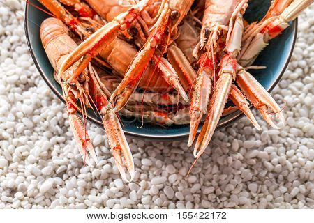 Seafood served on the beach with white stones