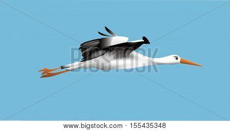 white and black stork is flying in sky