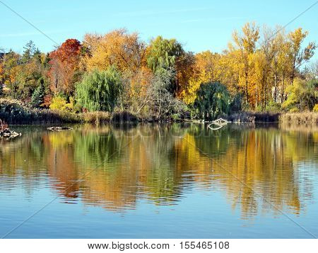 Autumn pond in Thornhill Canada November 6 2016