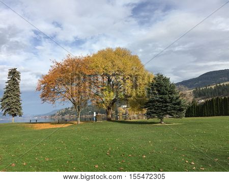 Autumn landscape with tall trees, cloudy sky, lake and hills background.