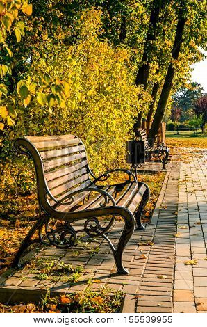 Bench In Autumn Park, Beautiful Fall Landscape