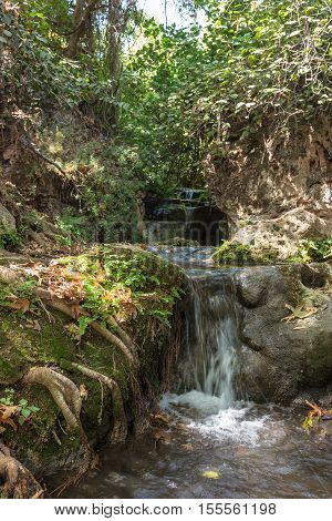 Small Waterfall In A Forest Stream Amud
