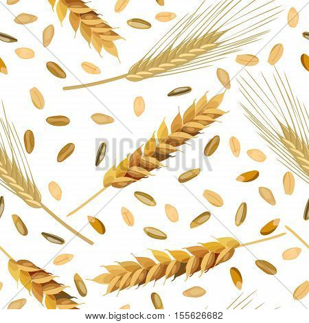 Seamless pattern wheat and rye ears and grains. Vector illustration EPS 10