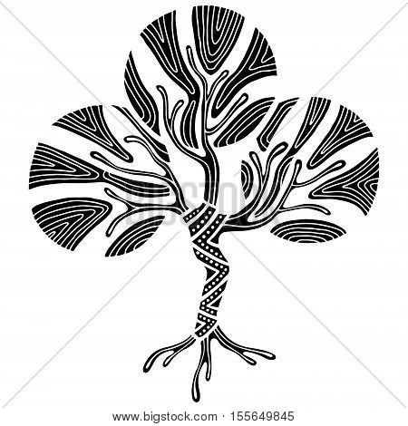 Vector Graphic Illustration