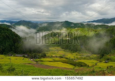 Japanese Rural Landscape With Rice Terraces In Mountain Forest