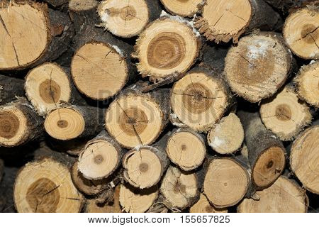Stack of round firewood background texture - natural fuel