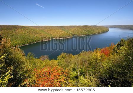 Las Narodowy Allegheny