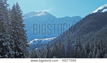 Tatra
