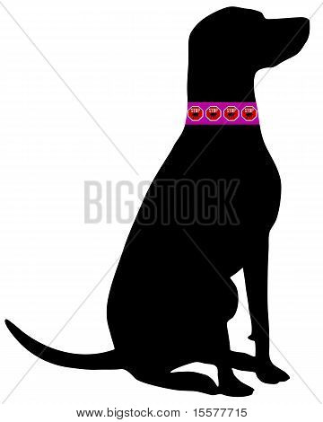 Hund loppe halsbånd