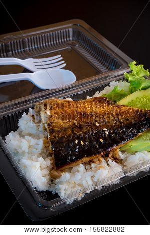 Food in plastic box Grill fish with rice and vetgetable
