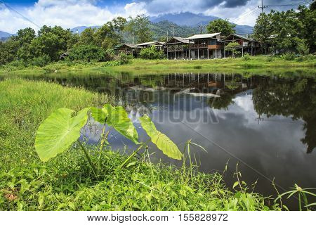 The house has a river running through the back yard. There is a shady green trees.