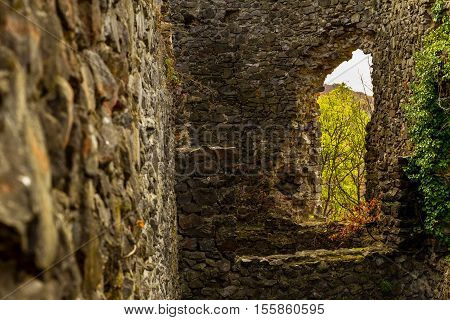 Kamyanitsa Ukraine - October 27 2016: Ruins of the Nevitsky castle near the village Kamyanitsa. The castle was built in the 13th century.