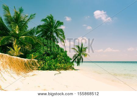Panorama of tropical island Beach with palm trees. Vintage filter soft light