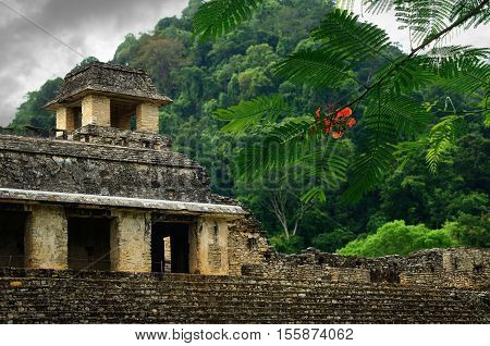 The ruins of the ancient Mayan city of Palenque Mexico.