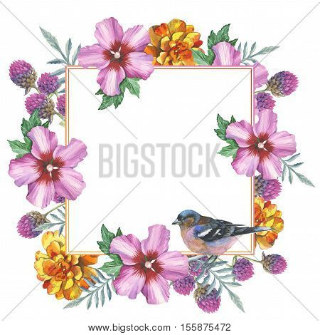 Wildflower hibiscus frame in a watercolor style isolated. Full name of the plant: marigold, hibiscus, gomphrena. Aquarelle wild flower for background, texture, wrapper pattern, frame or border.