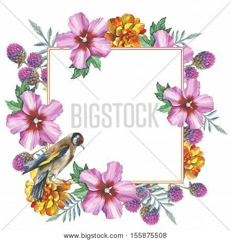 Wildflower hibiscus frame in a watercolor style isolated. Full name of the plant: marigold, hibiscus, gomphrena. Aquarelle wild flower for background, texture, wrapper pattern, frame or border.