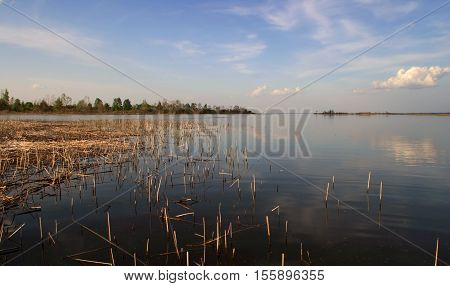 Spring Flooding