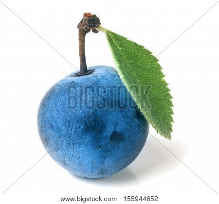 one fresh blackthorn berries with leaves isolated on white background.