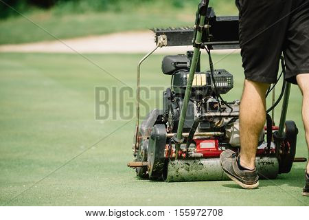 Golf course maintenance equipment greens mower, toned image