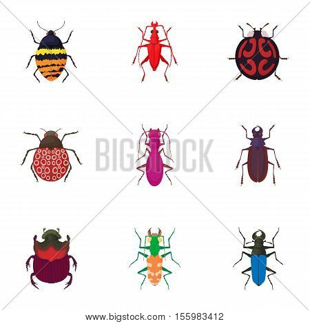 Order coleoptera icons set. Cartoon illustration of 9 order coleoptera vector icons for web
