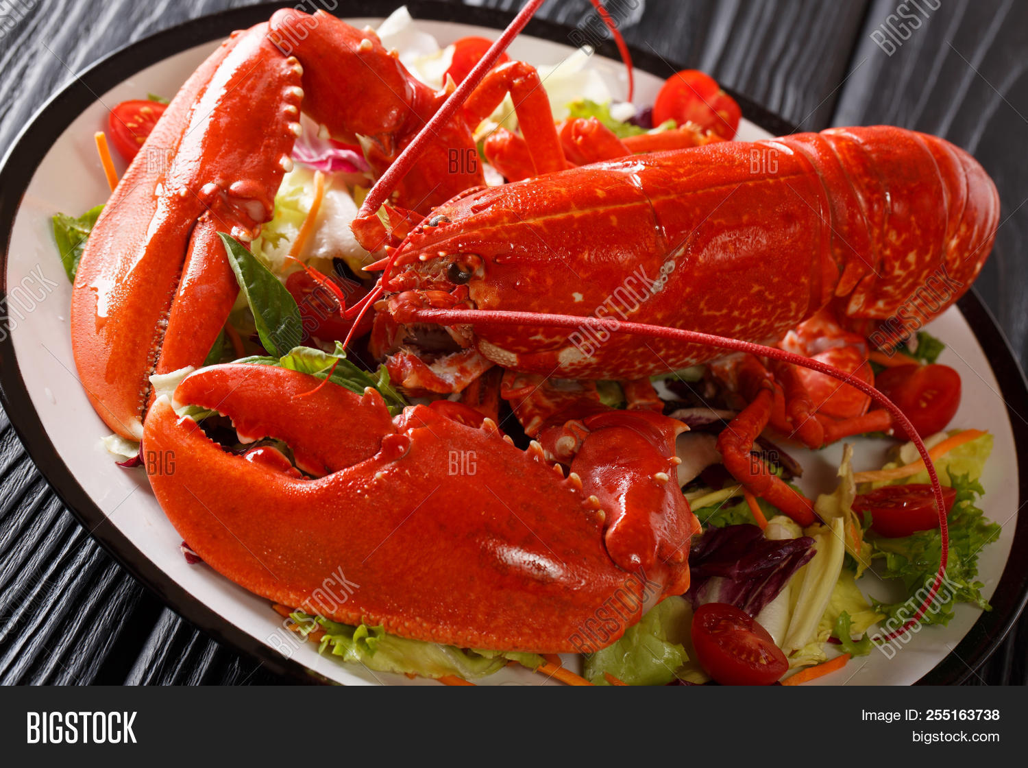 Luxury Food Recipe Image Photo Free Trial Bigstock