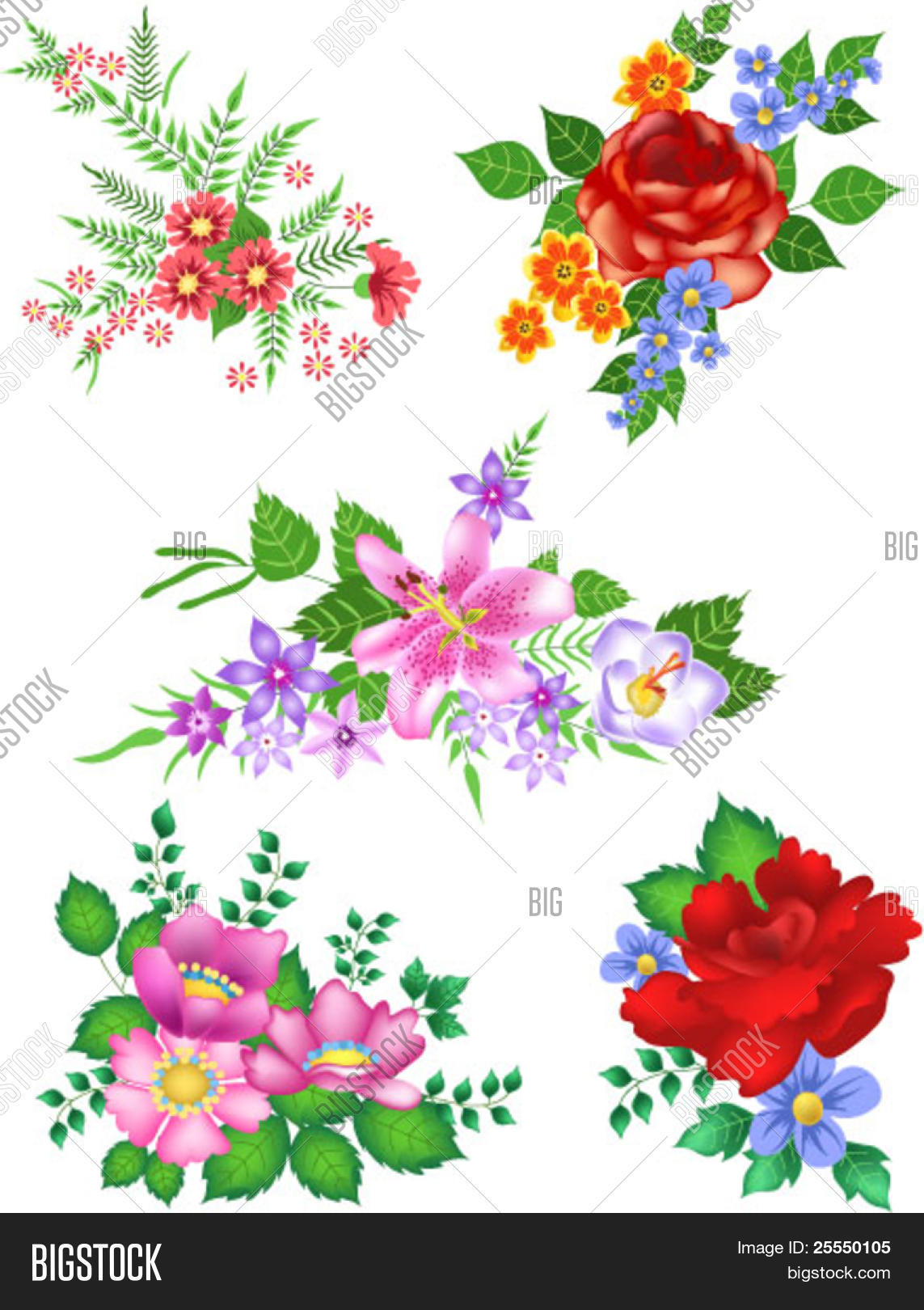 Image Preview