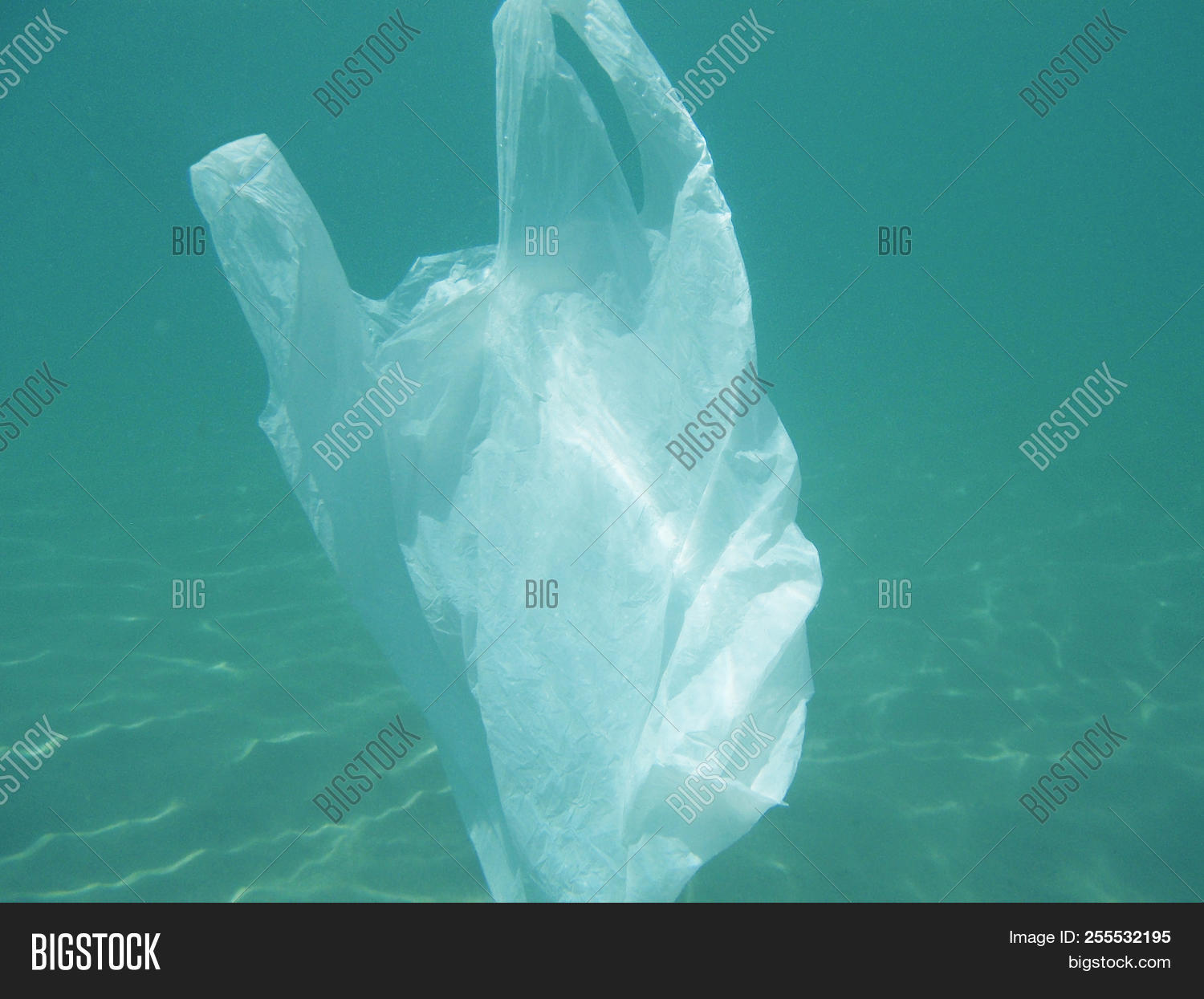 Plastic Bag Floating Image & Photo (Free Trial) Bigstock