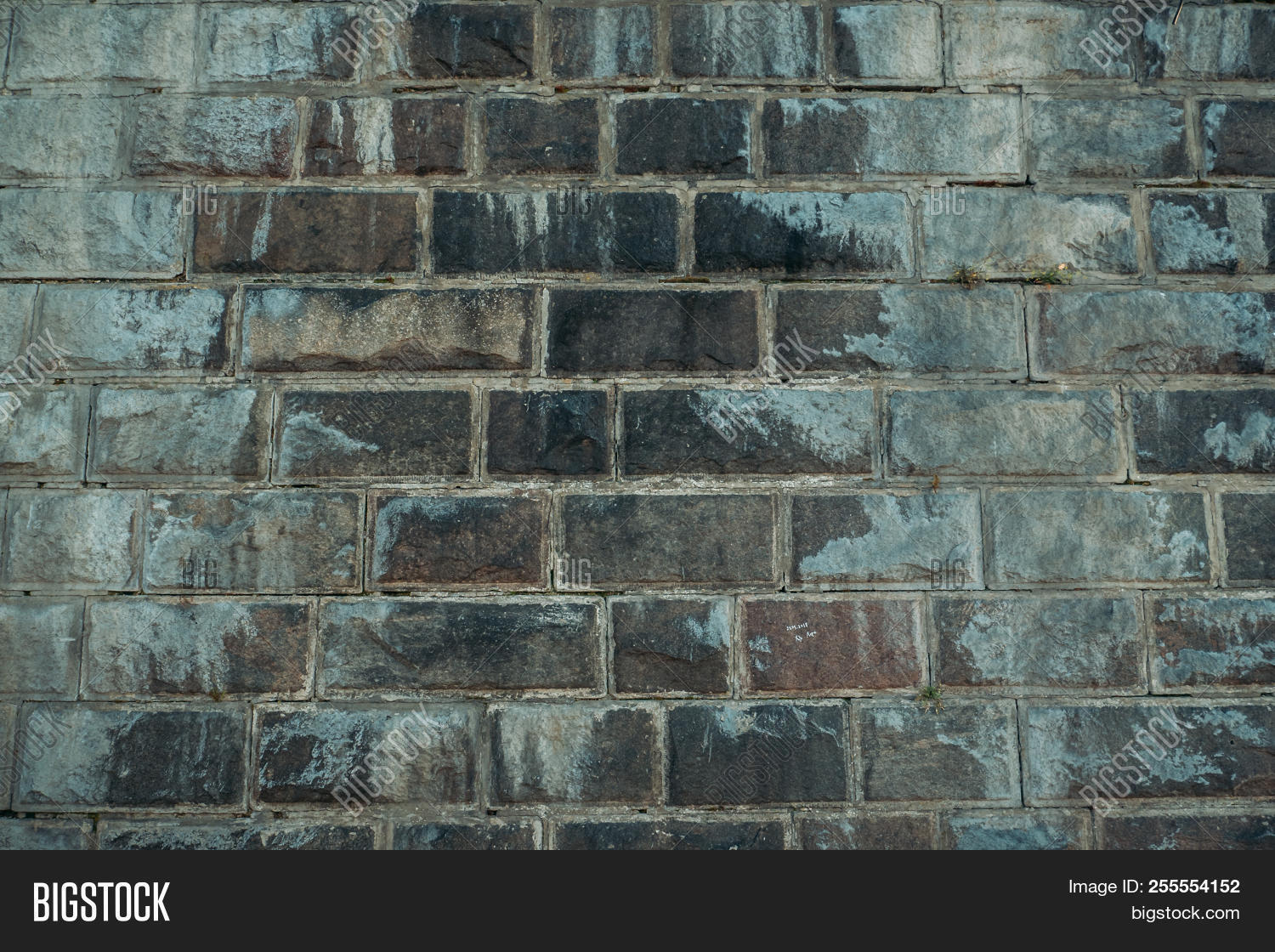 Old Gray Vintage Image Photo Free Trial Bigstock
