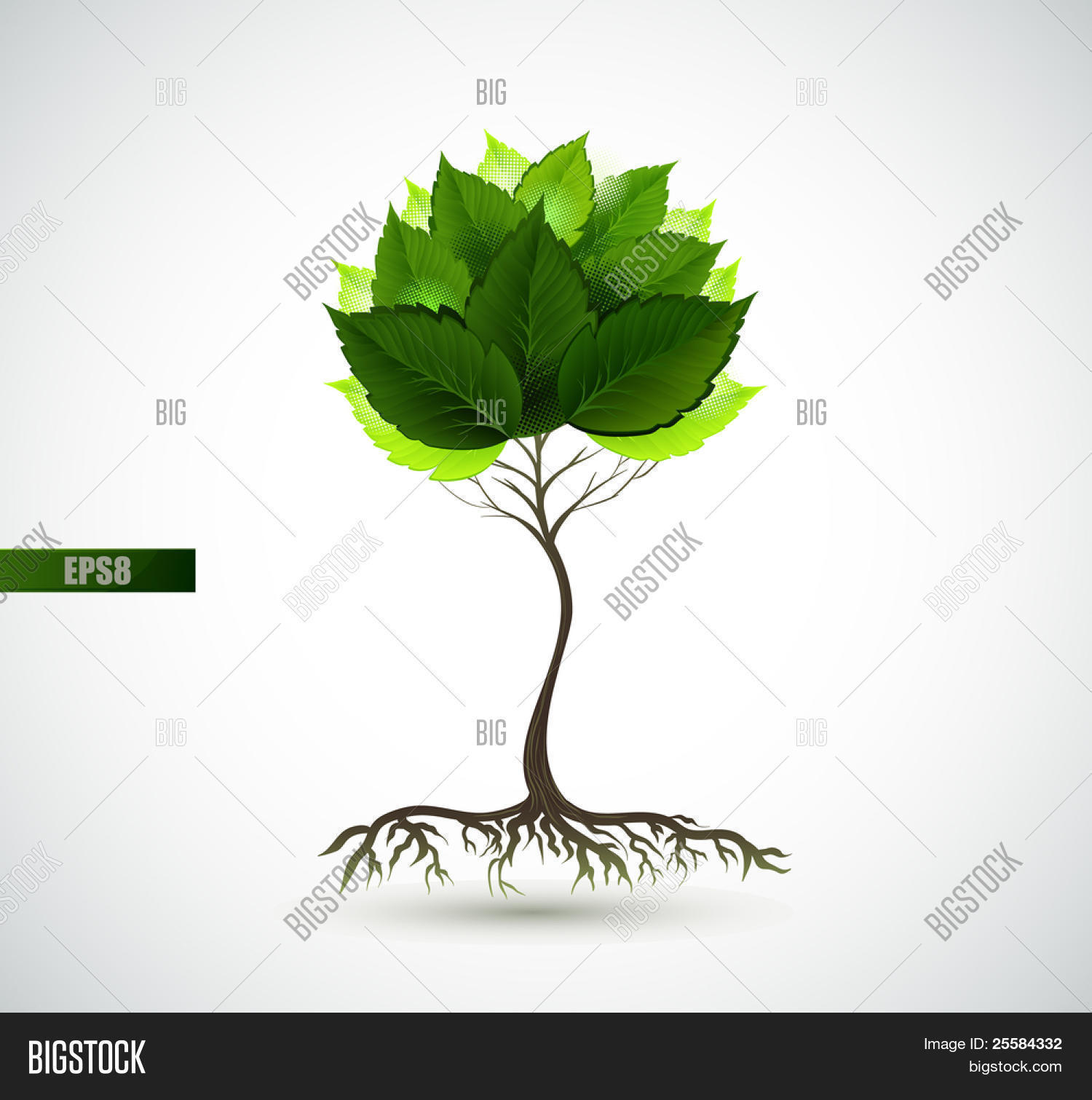 Season Young Tree Vector & Photo (Free Trial) | Bigstock