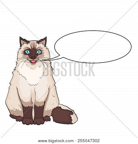 Isolated Object On White Background. Pet. Siamese Cat Or Siberian Color Neva Masquerade. Vector Text