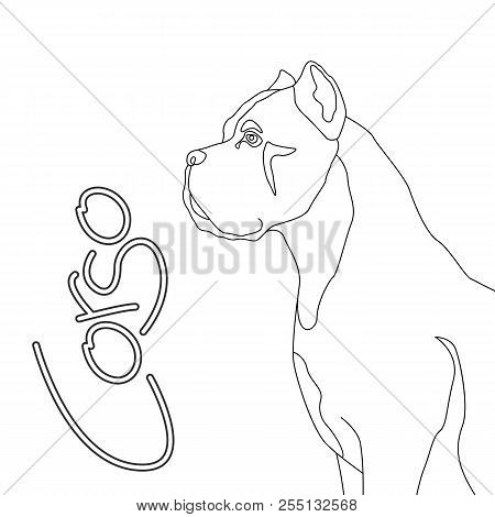 Dog Corso  Vector Illustration Flat Style  Coloring Book