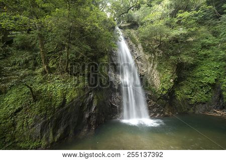 White Waterfall Falling Along Bedrock Which Green Trees Grows Upside