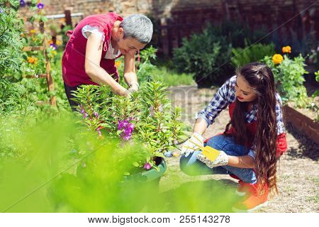 Daughter And Mother Worki In Spring Garden