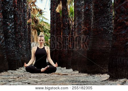 Young Beautiful Woman Doing Meditation In Nature