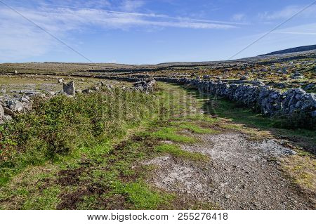 Hiking Trail With Stone Walls In Burren Mountains