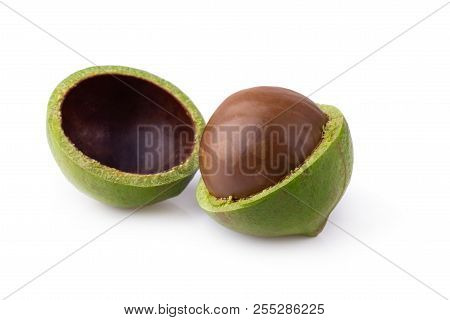 Macadamia Nuts Isolated On A White Background