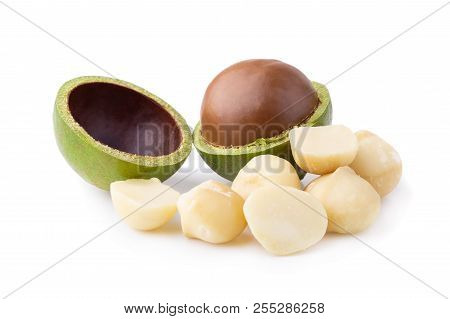 Macadamia Nuts Isolated On A White Background