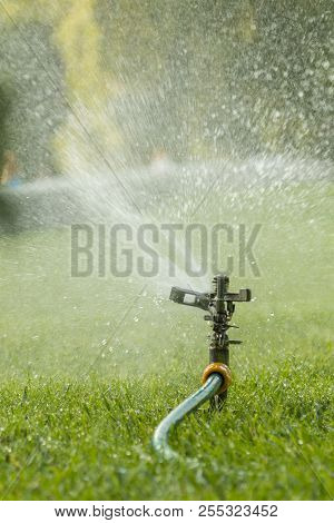 Lawn Sprinkler Spaying Water Over Green Grass. Irrigation System. Automatic Watering Lawns. Gardenin
