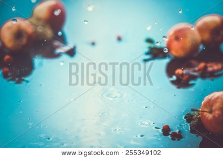 Autumn Apples Under Rain Still Life. Fall Harvest Header With Water Drops And Copy Space. Red Small 