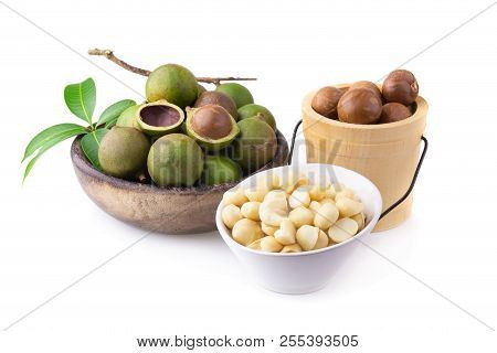Macadamia Nuts Isolated On A White Background