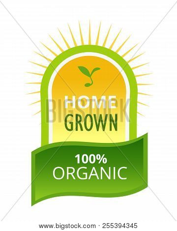 Eco-friendly Natural Products, Farm, Home Grown, Biological Labels, Tags, Stickers.