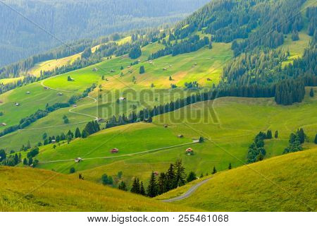Summer landscape of Switzerland rural country side, near Habkern village