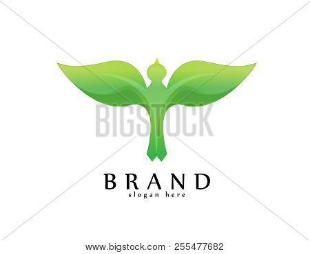 Bird Leaf Logo - White Background Illustartion Design