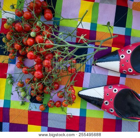 GOMEL, BELARUS - AUGUST 16, 2018: Versus (Versace) women's shoes. Versus (Versace) is the diffusion line of Italian luxury fashion house Versace.