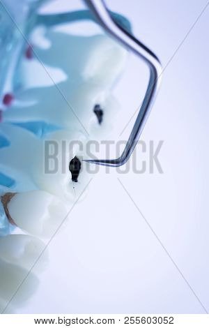 Dentist Cleaning Teeth