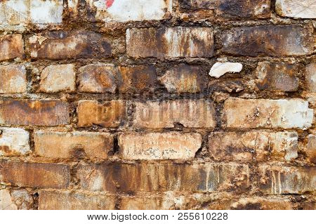 Texture Of Brick From An Old Brick Wall With Seams With Dirty Streaks Of Patches Wretched Ugly Old. 