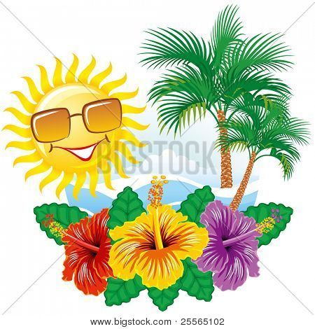 Ibisco di larghezza etichetta tropicale bellissima vettoriale